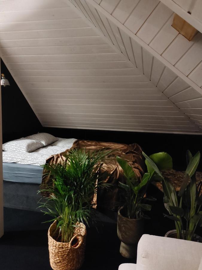 Apartament Lipowa 3 Mrągowo Dış mekan fotoğraf