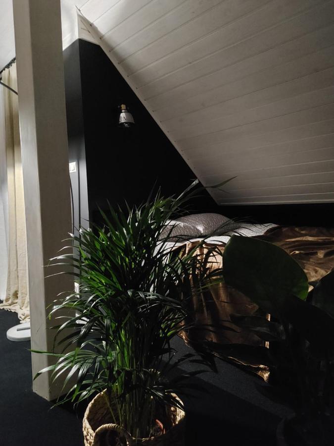 Apartament Lipowa 3 Mrągowo Dış mekan fotoğraf